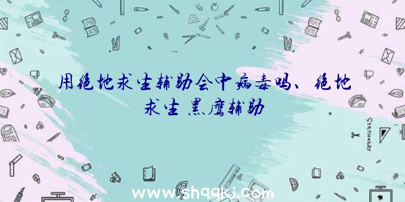 用绝地求生辅助会中病毒吗、绝地求生